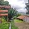 Blackberry Hills Munnar- Nature Resort & Spa - Munnar