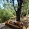 Gîte Camping Amazigh Gîte Camping Amazigh