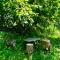 Mountain Top Getaway in Dilijan!