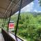 Khao Sok Inn Hostel