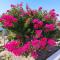 «Astrofeggia» A private stone house Nature-Seaview