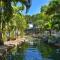 Tropical Palms - Port Douglas