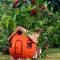 Krka Magic Pumpkin
