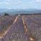 Location Bonnieux Provence