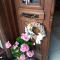 Valentini Guesthouse