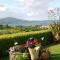 Foto: Carbery Cottage Guest Lodge 23/108