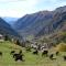 HelloChalet - Maison Rue de la Neige - Family Ski Holiday walking distance skirun and gondola