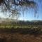 Estancia Colome