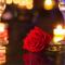 Cocoon inn&Spa - Saint-Saturnin-les-Avignon