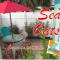 Sea Oats Studio - At Casas de la Playa Central - Flagler Beach