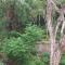 iSTAYS - Loop Road, Yercaud