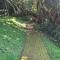 Forest Homes 15