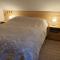 Apartmaji Pri Medvedu - 博希尼