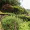 Llys Elen