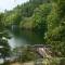 Cute Little Cabin (Near the Nantahala River) - Topton