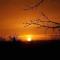 Romantic Shepherds hut with stunning sunsets - Hollingbourne