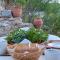 Loulia Home
