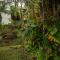 Vista Lago Arenal