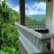 Spring and Valley View