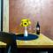 Apartmani Nina