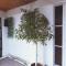 HOSTAL SOL de CALDERA