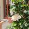 North Sardinia Retreats - Villa Manini Boutique Rooms