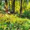 Friendly Homestay Lemukih
