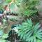 The Riverside Guest House - Lampang