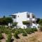 Anna Studios Paros