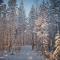 Långforsen Glamping & Lapland Experience - Haparanda