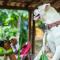 Navio Hostel & Camping Navio Hostel & Camping