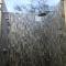 Voces de Aves Glamping