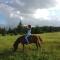 Holiday Home Jabucilo