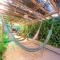 Buddy's Hostel Itacaré - إيتاكاري