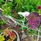 The Empty Nest - Geraldine