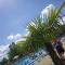 Ap. Near Thermal Bath