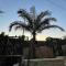 Diamond Apartment In Haifa
