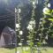 PLITVICE OAZA MIRA