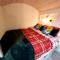 The Feathers Shepherds Hut