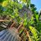 Selva de Laurel - بويرتو إجوازو