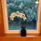 Beautiful 2 BR 1 BA Cabin in Blue Ridge Mountains: The Little White House