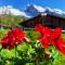 Büelbad - Relax Holiday Apartment