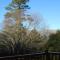 Laragh-on-Hogsback