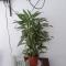 Holly House Homestay Holly House Homestay