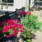 Atelier Onder de Notenboom