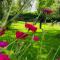 Atelier Onder de Notenboom