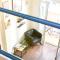 2 bedrooms appartement with furnished balcony and wifi at Firenze