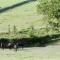 Devon Country Paradise - Tavistock