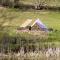 Naturally Glamping