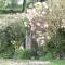 Devon Country Paradise